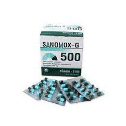 サノモックスG500 (淋病治療)